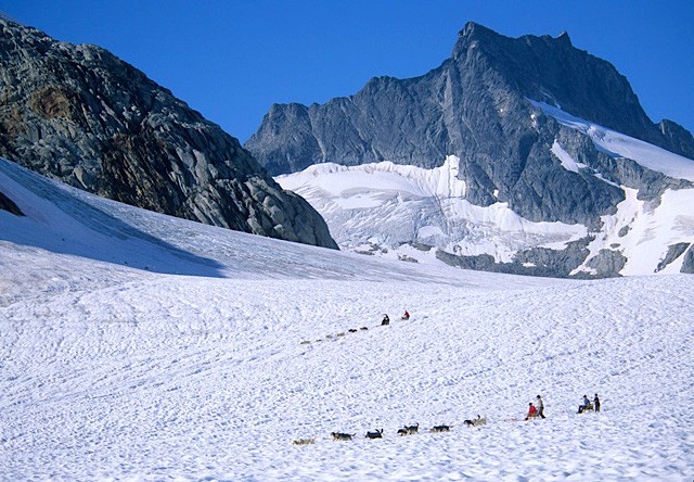 skagway-dog-sled-glacier-tour.jpg