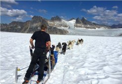 Photo of skagway dogsled and glacier flightseeing helicopter tour